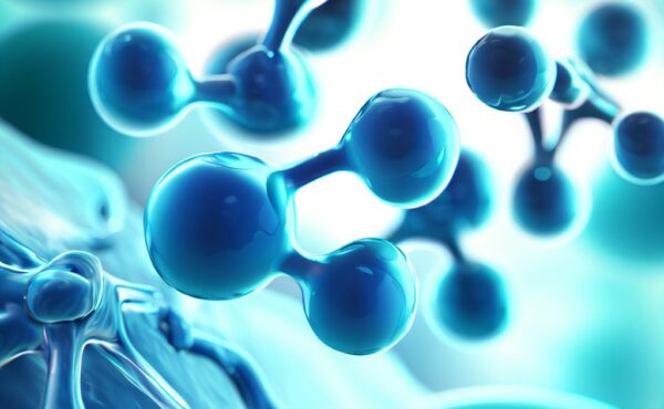 chitosan molecules attaching to cells