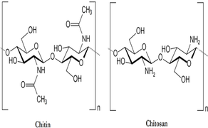 chitin and chitosan chemical structure