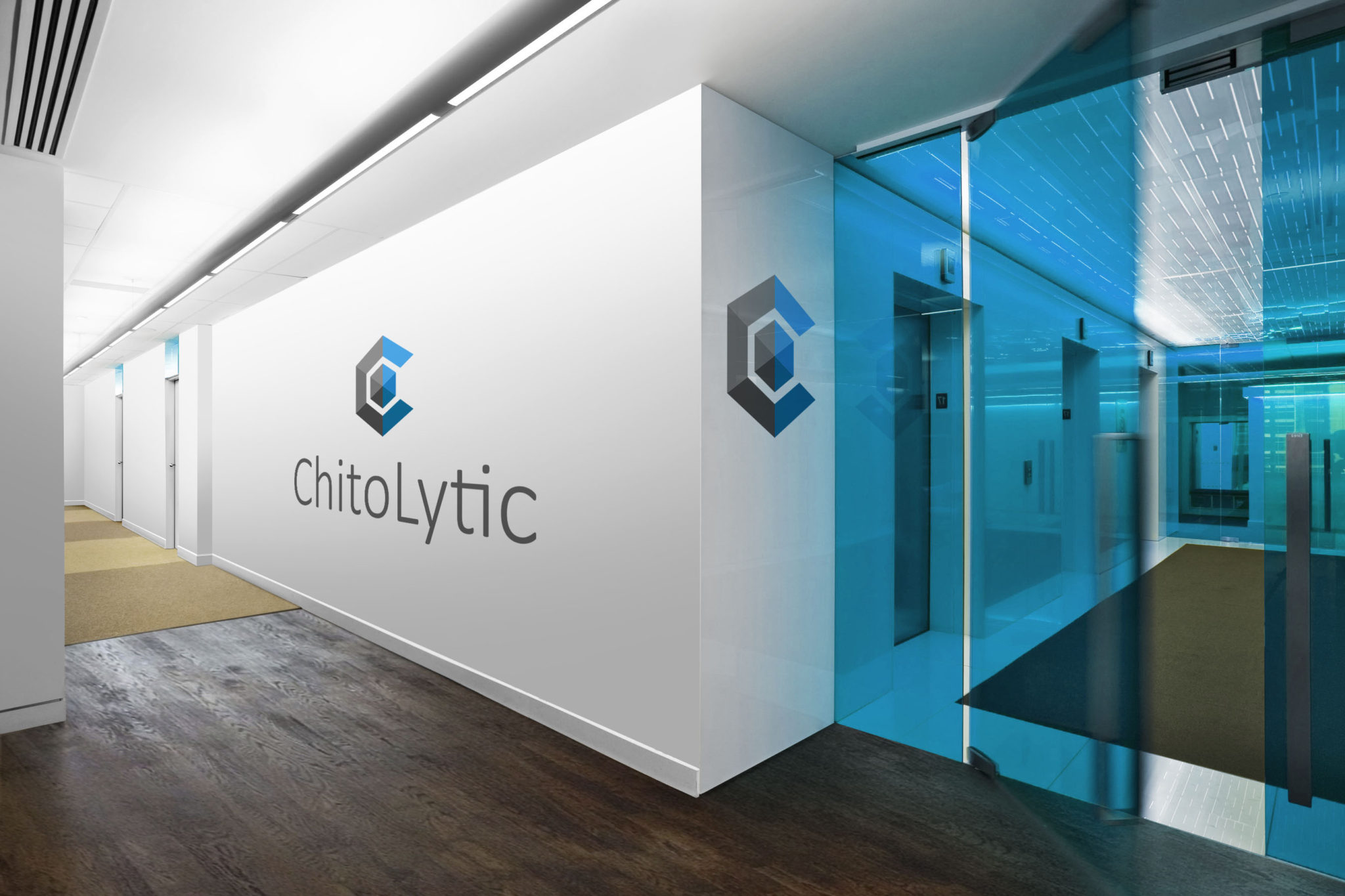 ChitoLytic office with logo ChitoLytic office with logo on wall