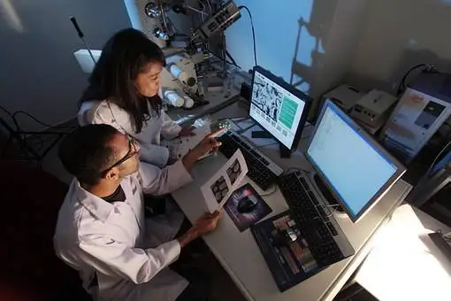 Researchers analyzing medical images on multiple screens for disease detection.