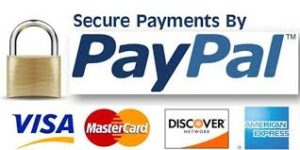 Paypal secure payments PayPal secure payments logo