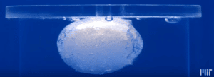 hydrogel expanding pill expanding pill in water