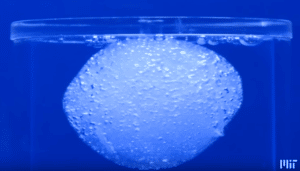 holding hydrogel expanding pills holding hydrggel expanding pills in hand