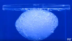 High-performance enzyme for biological breakdown of chitin and seafood waste.