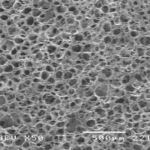 Porous chitosan scaffold at medium magnification porous chitosan scaffold at medium magnification