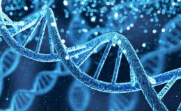 dna strands with molecules