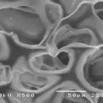 Microscopic view of chitosan fibers used in biodegradation processes.
