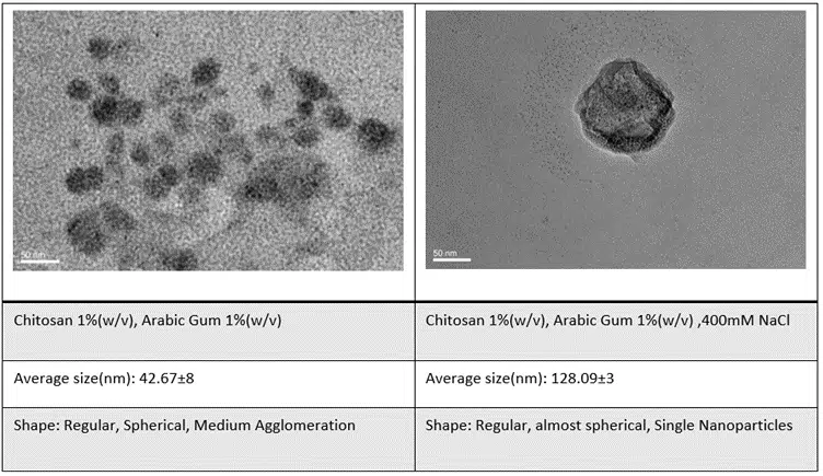 ChitoLyric_detail. Electron microscopy images of chitosan and Arabic gum nanoparticles for skin and health benefits.