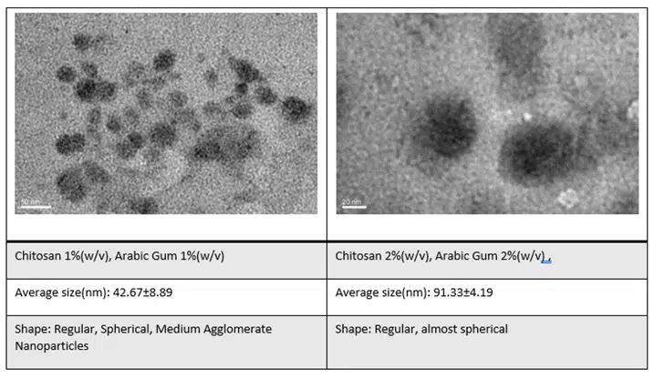 ChitoLytic Nanoparticles. High-quality chitosan and arabic gum nanoparticles for biopolymer applications.