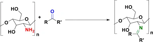 Effective chitosan enzyme for industrial use and research. Enhances biodegradation and waste management.